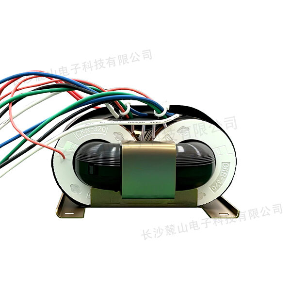 R-320VA 450V/12V